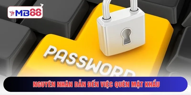 Nguyên nhân dẫn đến việc quên mật khẩu