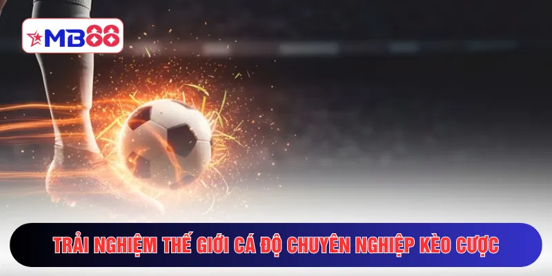 Trải nghiệm thế giới cá độ chuyên nghiệp kèo cược 