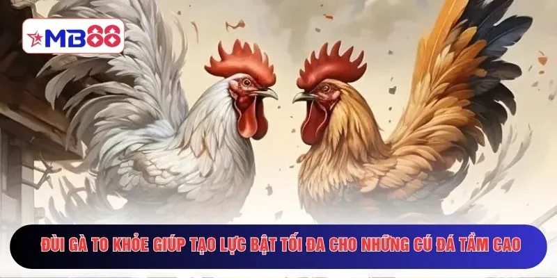 Đùi gà to khỏe giúp tạo lực bật tối đa cho những cú đá tầm cao