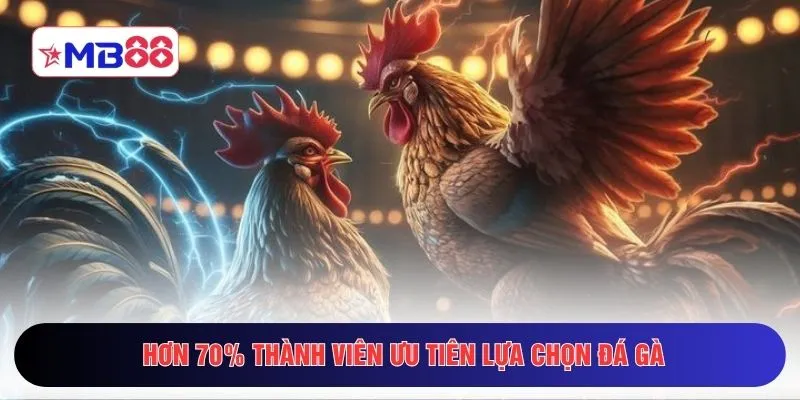 Hơn 70% thành viên ưu tiên lựa chọn đá gà
