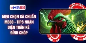 Mẹo Chọn Gà Chuẩn MB88 - Tips Nhận Diện Thần Kê Đỉnh Chóp